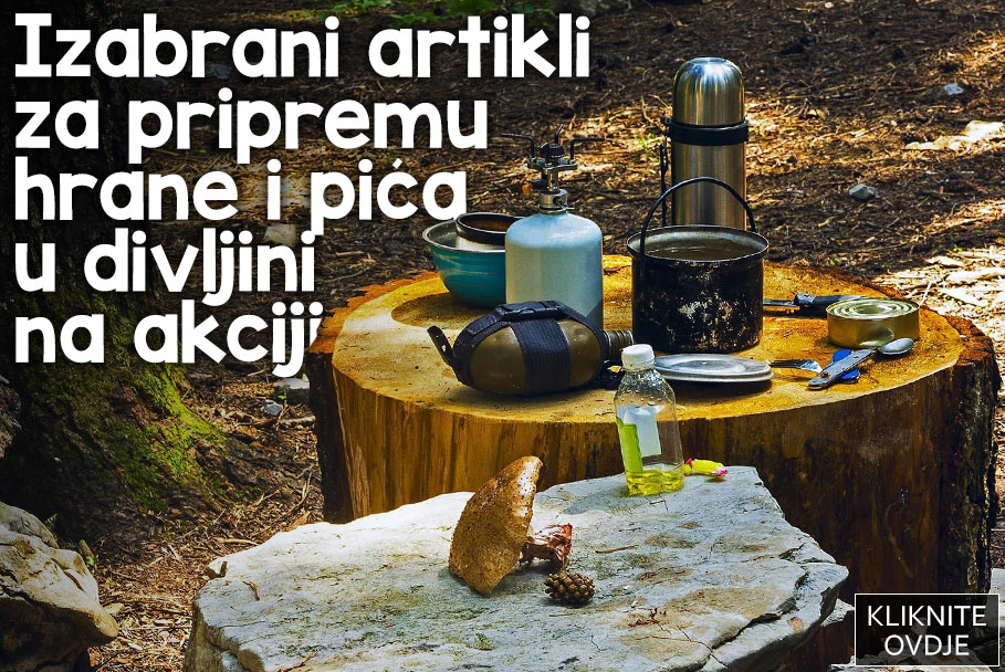 Glavna akcija